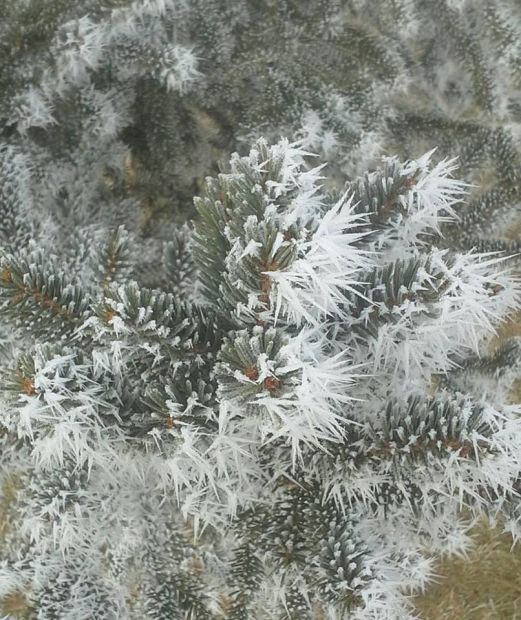 Cold Snap